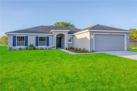 New construction Single-Family house Kissimmee, FL 34758 - image