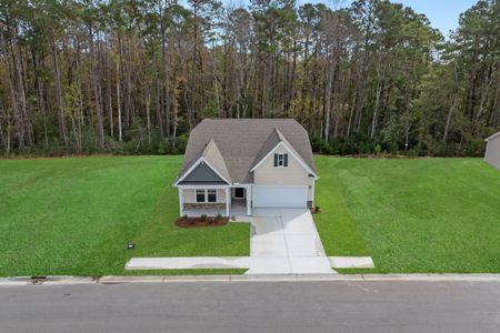 New construction Single-Family house 1115 Rosefield Wy Nw, Calabash, NC 28467 plan Belair - image