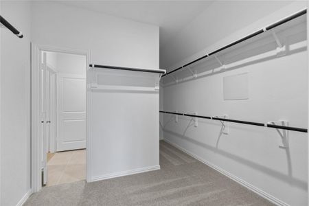 New construction Single-Family house 12214 Lions Field Ct, Cypress, TX 77433 plan Enclave Series - Bermuda - image 15