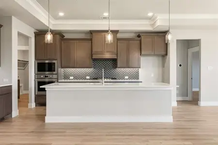 New construction Single-Family house 191 Pomona Crk, Prosper, TX 75078 plan Torino - image 7