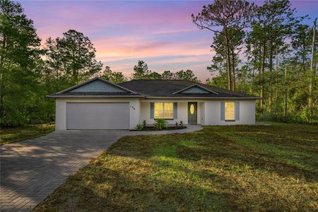 New construction Single-Family house 158 Guava Pass, Ocklawaha, FL 32179 - image
