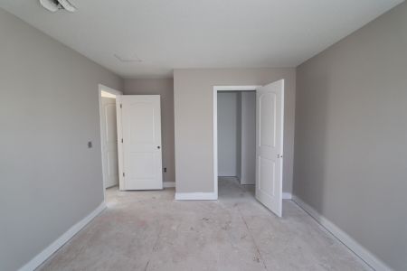 New construction Single-Family house 20050 Oriana Loop, Land O' Lakes, FL 34638 Santa Monica- photo 99 99