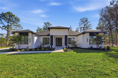 New construction Single-Family house 1349 Cr 243, Wildwood, FL 34785 - image