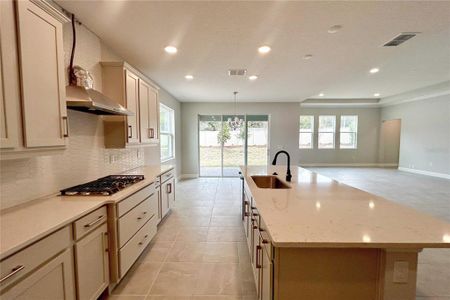 New construction Single-Family house 329 Lady Palm St, Apopka, FL 32703 Corina Xl - Eco Grand Series- photo 7 7