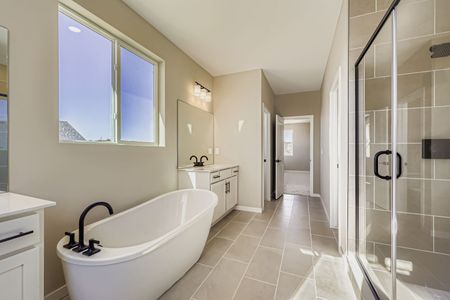 New construction Single-Family house 13755 Daffodil Wy, Parker, CO 80108 plan Conifer - image 13