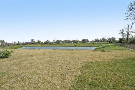 New construction Single-Family house 3910 Radiant Mountain Dr, Plant City, FL 33565 Redwood- photo 35 35