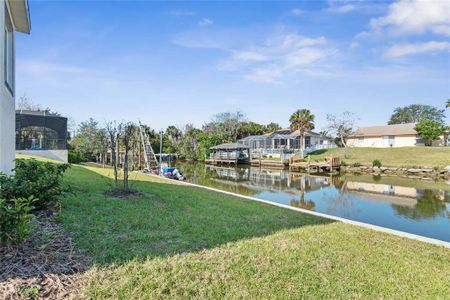 New construction Single-Family house 9 Coolidge Ct, Palm Coast, FL 32137 null- photo 52 52