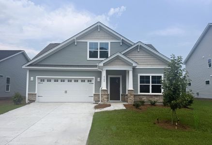 New construction Single-Family house 6260 Zoe Wy, Myrtle Beach, SC 29588 plan Fullerton - image