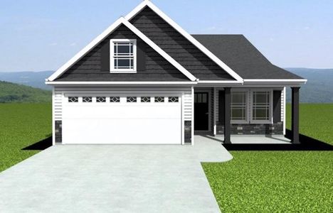 New construction Single-Family house 595 Adventure Isla Wy, Campobello, SC 29322 - image