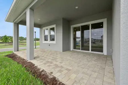 New construction Single-Family house 17434 Honeybell Tangelo Ct, Winter Garden, FL 34787 plan Eliot - image 20