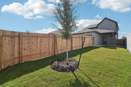 New construction Single-Family house 372 Glocken Ln, Kyle, TX 78640 plan Foxglove - image 14