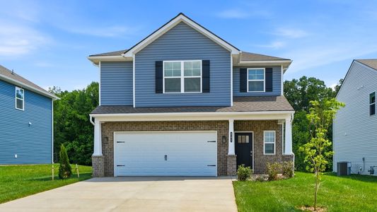 New construction Single-Family house 241 Chimney View Lp, Blountville, TN 37617 plan Darwin - image