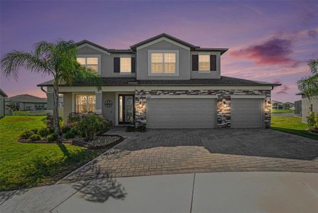 New construction Single-Family house 4902 Eagle Rock Dr, Wimauma, FL 33598 plan Mira Lago - image