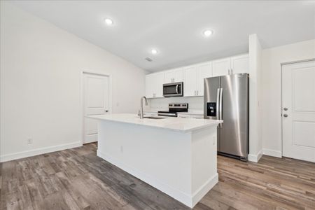 New construction Single-Family house 1135 Nw 13Th St, Cape Coral, FL 33993 plan The Tidewater - image 5