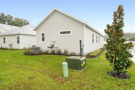 Azalea Walk by Gallery Homes in Deland - photo 14 14