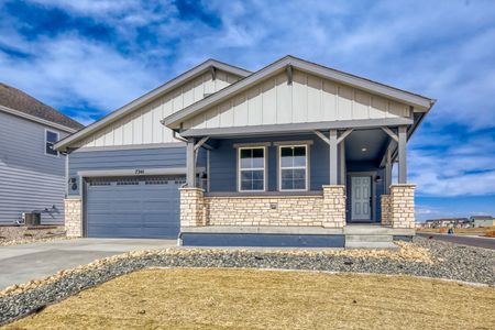 New construction Single-Family house 7341 Swan River St, Frederick, CO 80530 plan Newport - image