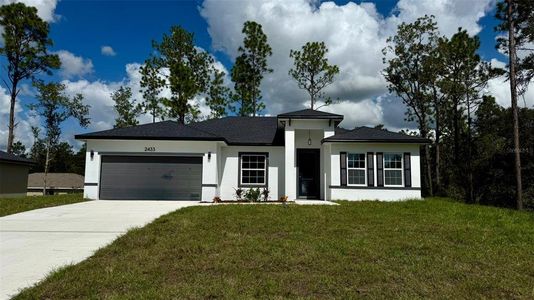 New construction Single-Family house 2433 W Andromedae Dr, Citrus Springs, FL 34433 - image