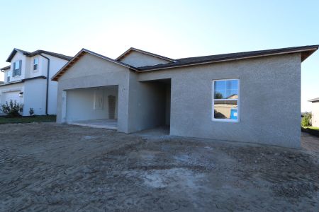 New construction Single-Family house 12227 Hilltop Farms Dr, Dade City, FL 33525 Sentinel- photo 47 47