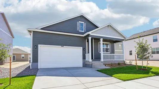New construction Single-Family house 5625 Gelbray Pl, Windsor, CO 80528 plan Chatham - image