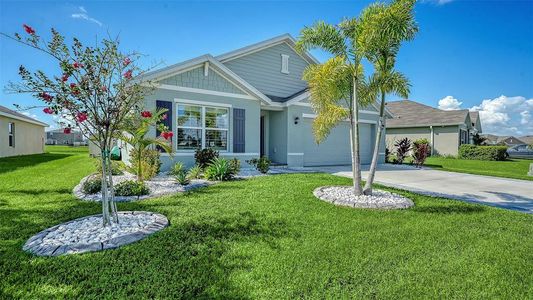 New construction Single-Family house 10402 Charlotte Dr, Parrish, FL 34219 - image