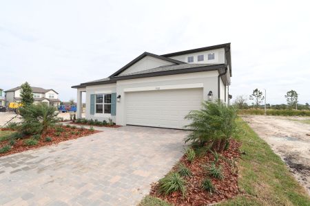 New construction Single-Family house 5762 Jeffries Way, Wesley Chapel, FL 33545 Newport II Bonus- photo 145 145