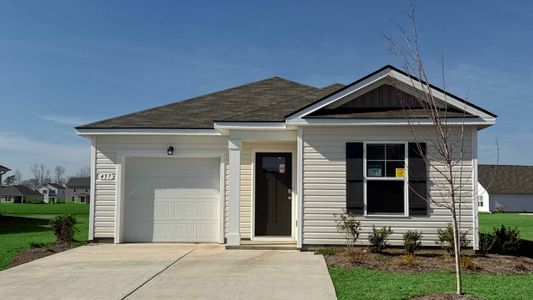 New construction Single-Family house 457 Acosta Cir, Conway, SC 29527 plan Devon - image
