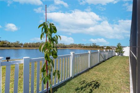 New construction Single-Family house 12712 Mangrove Forest Dr, Riverview, FL 33579 null- photo 20 20