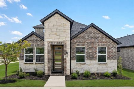 New construction Single-Family house 1105 Beebalm Mews, Celina, TX 75009 plan Walton - image