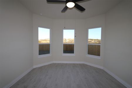 New construction Single-Family house 11703 Shimmering Sea Dr, Austin, TX 78747 Braford - Capital Series- photo 8 8