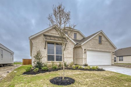 New construction Single-Family house 2223 Prickly Cactus Dr, Forney, TX 75126 plan 1521 - image