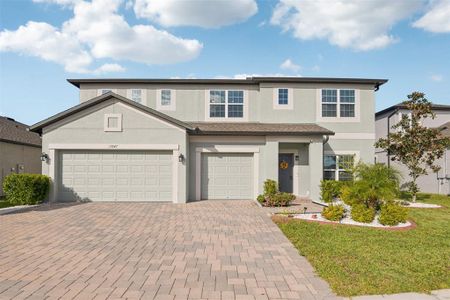 New construction Single-Family house 17647 Cortes Creek Blvd, Spring Hill, FL 34610 - image