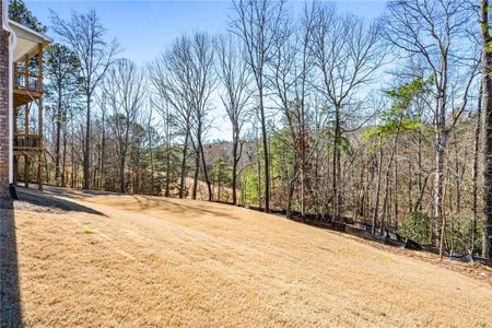 New construction Single-Family house 4753 Cardinal Rdg Way, Flowery Branch, GA 30542 null- photo 43 43