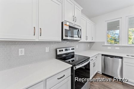 New construction Single-Family house 1007 Toland Dr, St. George, SC 29477 plan The Lenox - image 4