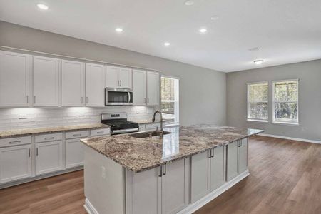 New construction Single-Family house 3 Ellaville Dr, Palm Coast, FL 32137 plan Ponce - 70' Homesites - image 4