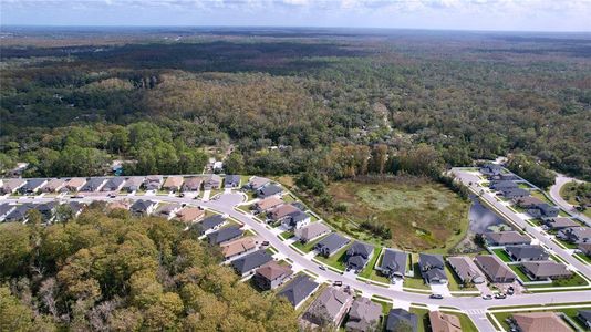 Rose Haven by Vitale Homes in New Port Richey - photo 1 1