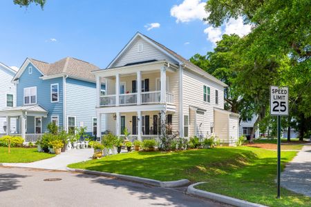 New construction Single-Family house 1413 Tangles Trl, Charleston, SC 29492 - image
