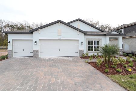 New construction Single-Family house 20339 Oriana Loop, Land O' Lakes, FL 34638 Newport II- photo 104 104