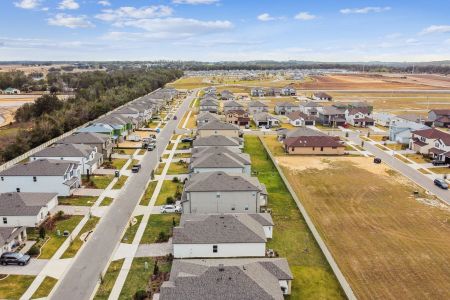 New construction Single-Family house 12193 Hilltop Farms Dr, Dade City, FL 33525 Sentinel- photo 149 149