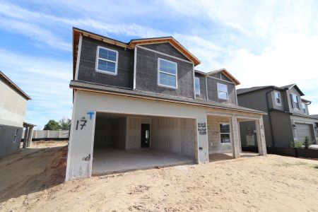 New construction Single-Family house 12168 Hilltop Farms Dr, Dade City, FL 33525 Malibu- photo 66 66