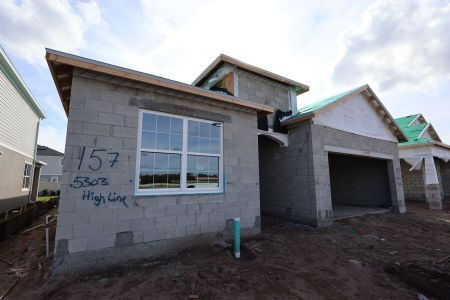 New construction Single-Family house 5303 High Line Dr, St. Cloud, FL 34771 plan Piedmont - Eco Series - image