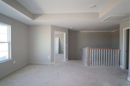 New construction Single-Family house 31236 Denham Ridge Ln, Wesley Chapel, FL 33545 Santa Monica- photo 98 98