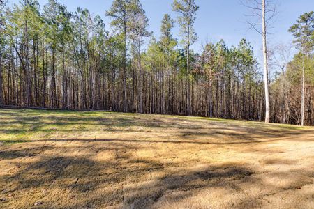 New construction Single-Family house 1010 Temple Draketown Rd, Temple, GA 30179 Whitshire- photo 60 60