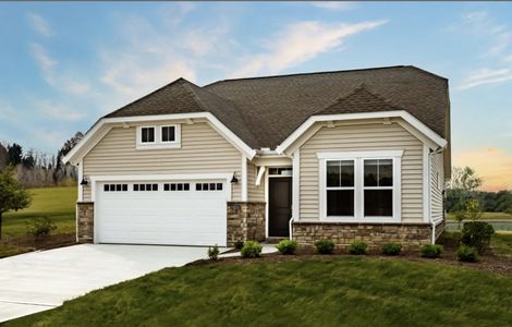 New construction Single-Family house 2428 Dallas Nebo Rd, Hiram, GA 30141 plan Amelia - image