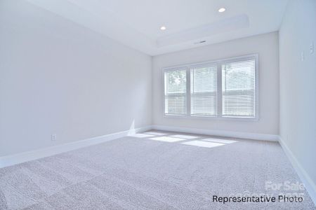 New construction Single-Family house 4178 Millstream Rd, Denver, NC 28037 - image 18