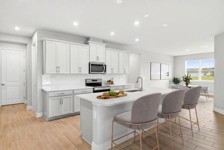 New construction Single-Family house 5028 124Th Ave E, Parrish, FL 34219 plan The Red Rock - image