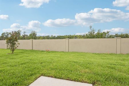 New construction Single-Family house 1847 Brekey Wy, Zephyrhills, FL 33541 plan Acadia - image