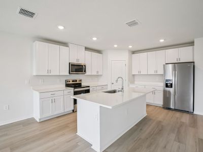 New construction Single-Family house 1732 Coolridge Pl, Zephyrhills, FL 33541 plan Essex - image 7