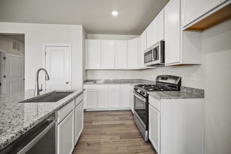 New construction Single-Family house 9289 Golden Buffs Dr, Colorado Springs, CO 80925 plan Sage - image 11