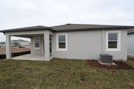 New construction Single-Family house 3142 Adams Cross Dr, Zephyrhills, FL 33540 Picasso- photo 80 80