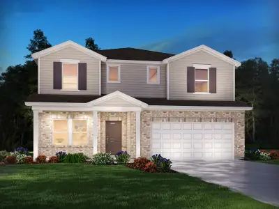 New construction Single-Family house 16 Swan Grove Trl, Fountain Inn, SC 29644 plan Johnson - image